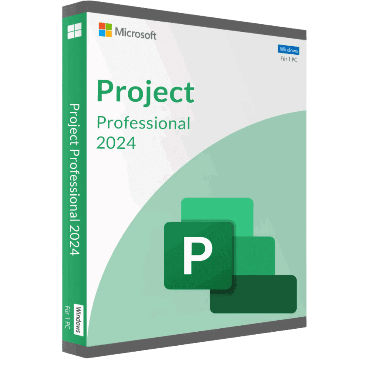 Project Professional 2024 LTSC — DigitalMarket Colombia