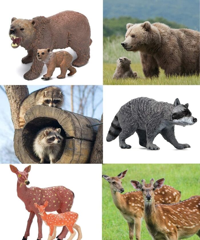 kit de animales figuras de animales del bosque