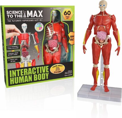 Be Amazing! Toys - Cuerpo humano interactivo