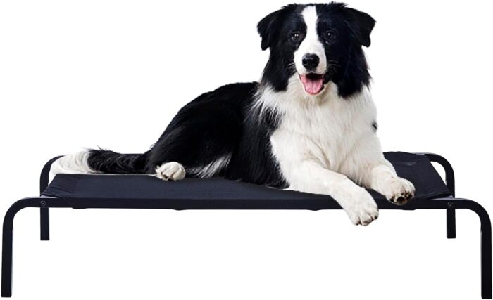GDKASRNY - Cama elevada portátil para mascotas con marco de acero