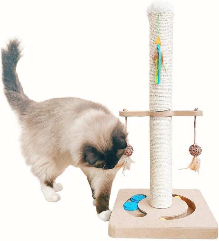 EverBrit - Postes rascadores para gatos con bolas colgantes
