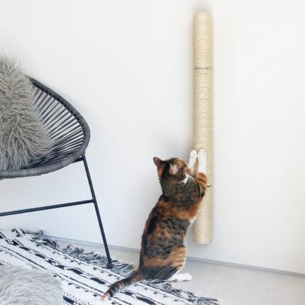xympo - poste rascador montado en la pared para gatos de Cuerda: Sisal - Altura: 34 pulgadas