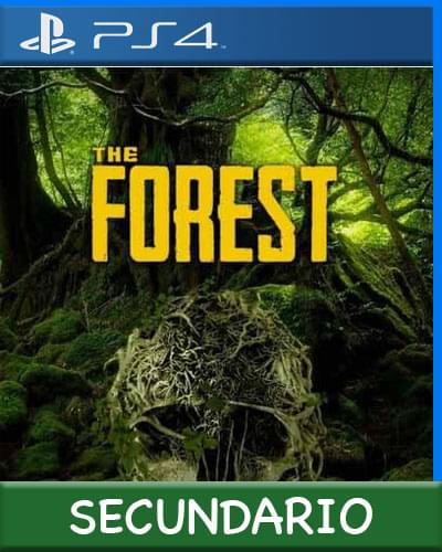 Ps4 Digital The Forest Secundario