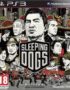 Ps3 Digital Sleeping Dogs